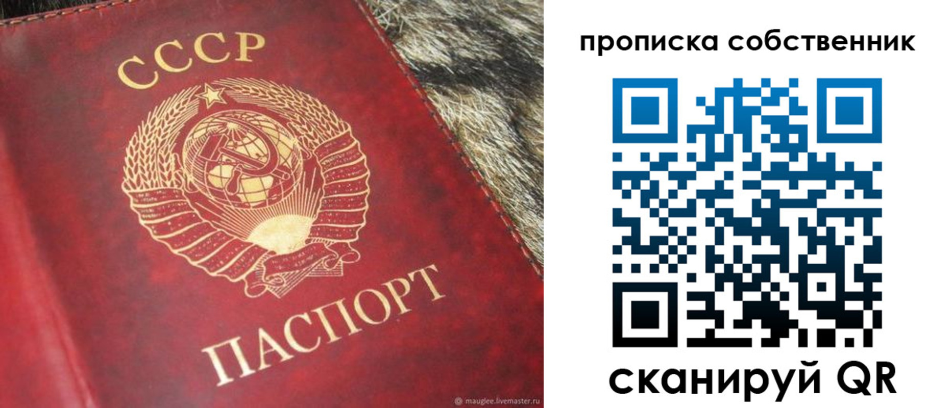 прописка в квартире в Беломорске